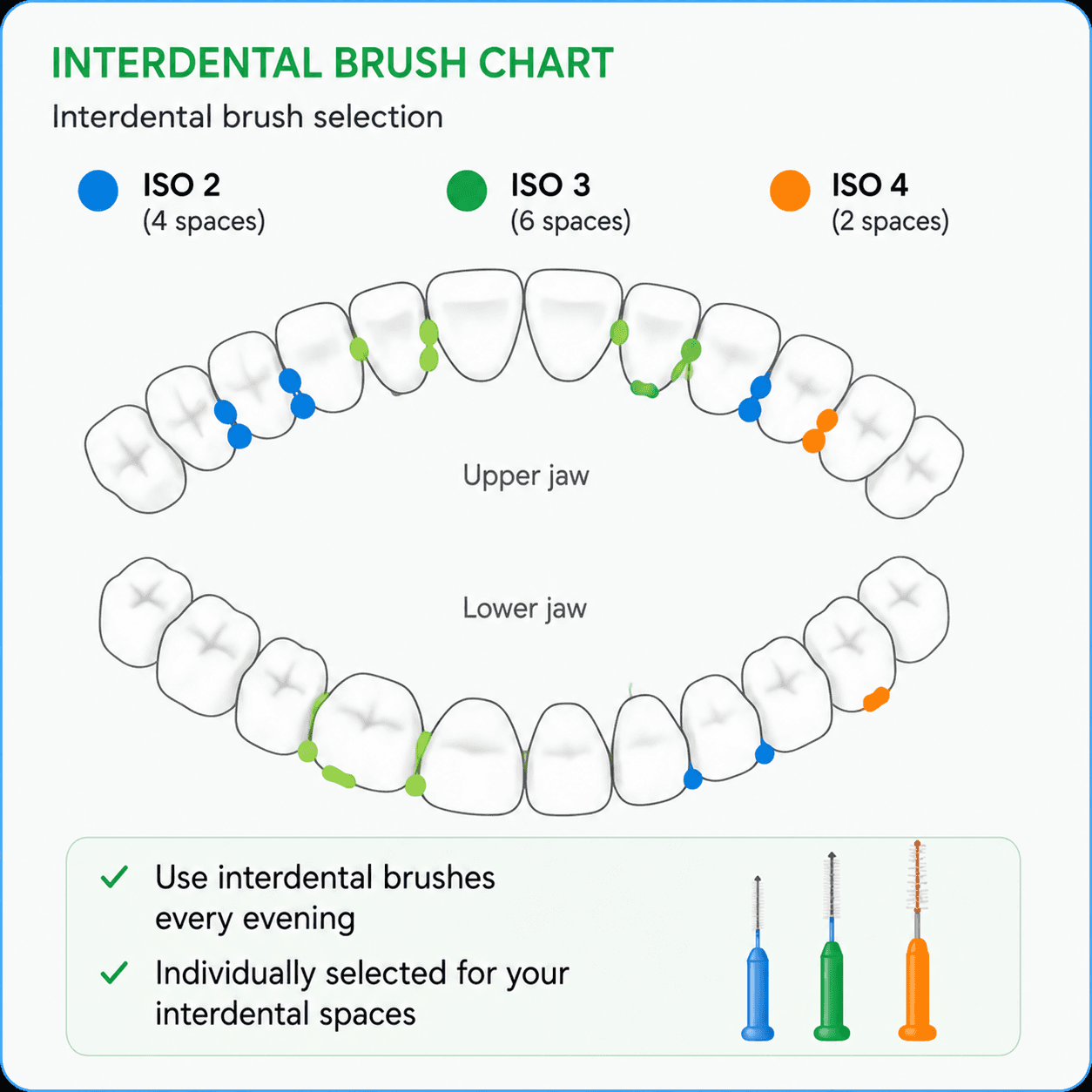 Interdental brush chart