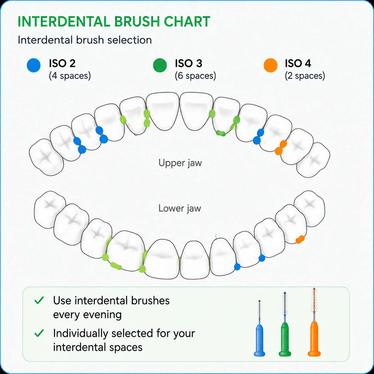Interdental brush chart
